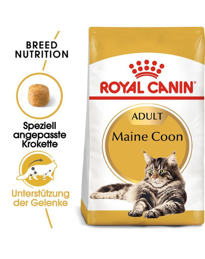 ROYAL CANIN Maine Coon Adult Aliments secs pour chats Maine Coon adultes 20 kg (2x10 kg)