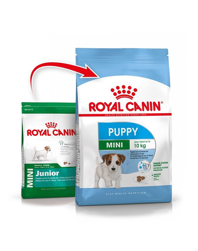 ROYAL CANIN Mini Puppy / Junior Aliments secs pour chiots de 2 à 10 mois, petites races 8 kg + Mini puppy 12x85 g