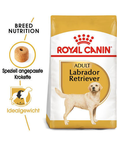 ROYAL CANIN Labrador Retriever Adult Aliment sec pour chiens adultes de la race labrador retriever 24 kg (2x12 kg)
