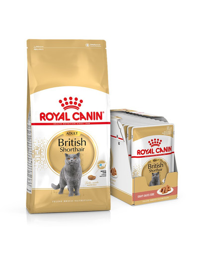 ROYAL CANIN British Shorthair - nourriture sèche pour chats adultes British Shorthair - 10kg + nourriture humide 12x85g
