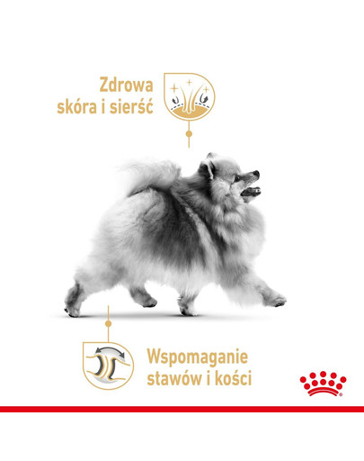 ROYAL CANIN Pomeranian Adult 1.5 kg