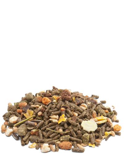 VERSELE-LAGA Crispy Muesli Big Rabbits pour lapins de grande  2,75 kg