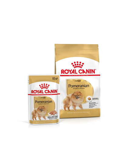 ROYAL CANIN Pomeranian Adult 1.5 kg + Pomeranian Adult Nourriture humide 12x85g