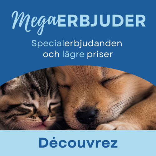 MegaPromotions
