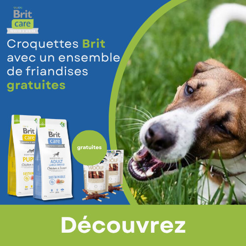 Promoción BRIT sur une sélection de produits avec des friandises WOOLF gratuites