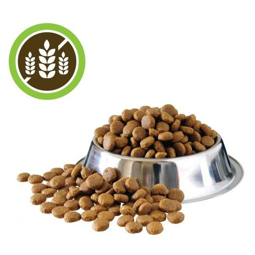 Croquettes chien sans céréales