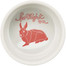 TRIXIE Bol en céramique pour lapin 240ml/11cm