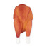 PET NOVA Dog Lifestyle Poulet rôti jouet 19cm