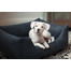 FERA Shine Canapé-lit pour chien M 80 x 60 x 25 cm