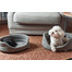 FERA Lit pour chien ovale gris 75x62x22 cm