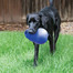 KONG Bounzer Ultra XL
