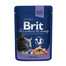 BRIT Premium Cat Adult Cod Fish 24 x 100g