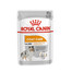 ROYAL CANIN Coat Care mousse 12 x 85 g