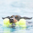 KONG AirDog Squeaker Bone large 235 mm