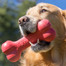 KONG Goodie Bone L 22 cm