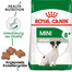 ROYAL CANIN Mini Adult 8+ 800 g karma sucha dla psów starszych od 8 do 12 roku życia ras małych x 15