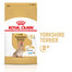 ROYAL CANIN Yorkshire Terrier Adult de plus de 8 ans - 3 kg