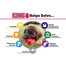 KONG Classic large 105 mm t1