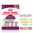 ROYAL CANIN Sensory Smell, Taste, Feel morceaux en sauce pour chats 12 x 85 g stimuler les sens