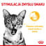 ROYAL CANIN Sensory Smell, Taste, Feel morceaux en sauce pour chats 12 x 85 g stimuler les sens