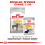 ROYAL CANIN Maxi Dermacomfort 12 kg