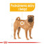 ROYAL CANIN Medium Dermacomfort 12 kg