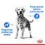 ROYAL CANIN CCN Medium Lightweight Care 12kg