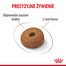 ROYAL CANIN CCN Medium Lightweight Care 12kg
