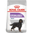 ROYAL CANIN CCN Medium Sterilised Adult 12kg