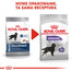 ROYAL CANIN CCN Medium Sterilised Adult 12kg