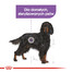 ROYAL CANIN CCN Medium Sterilised Adult 12kg