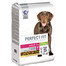 PERFECT FIT Ricco di pollo per cani adulti di taglia media e grande 11,5 kg