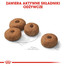 ROYAL CANIN CCN Medium Sterilised Adult 12kg
