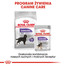 ROYAL CANIN CCN Medium Sterilised Adult 12kg