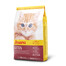 HILL'S Prescription Diet Cat K/D Kidney Care 3 kg