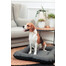 FERA Sunset Ponton legowisko dla psa XL 114 x 83 x 10 cm