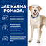 HILL'S Prescription Diet Canine d/d Duck&Rice 1,5 kg cibo per rinforzare la pelle del cane