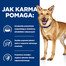 HILL'S Prescription Diet Canine i/d 4 kg alimenti per cani con malattie dell'apparato digerente