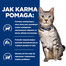 CAT CHOW Adult Karma z jagnięciną i zieloną fasolą 85 g