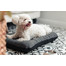 RECOVET Torebka miejska Beige Bulldog