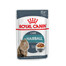ROYAL CANIN Hairball Care 48x85 g