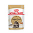 ROYAL CANIN Mainecoon saszetka 48x85 g