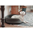 FERA Letto per cani ovale con cuscino 53x44x16 cm grigio