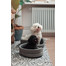 FERA Letto per cani ovale con cuscino 53x44x16 cm grigio