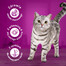 WHISKAS Adult 300g cibo secco per gatti adulti con deliziosa carne di manzo