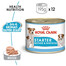 ROYAL CANIN Starter Mousse Mother & Babydog 24x195 g karma mokra - mus, dla suk w czasie ciąży, laktacji oraz szczeniąt