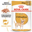 NATURES PROTECTION SUPERIOR CARE Red Coat Grain Free Salmon Junior Small Breed - au saumon pour chiots de petites races au pelage roux 1,5 kg