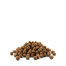 VERSELE LAGA Opti Life Puppy Skin Care All Breeds pour chiots sensibles toutes races - saumon 12.5 kg