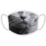 FERA Maschera di protezione per gatti a pelo corto