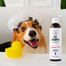 PETS Shampoo Argan oil szampon do sierści długiej 250 ml